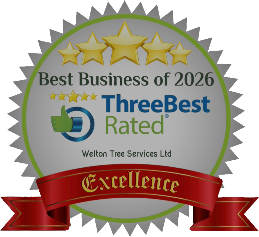 Best Business of 2026