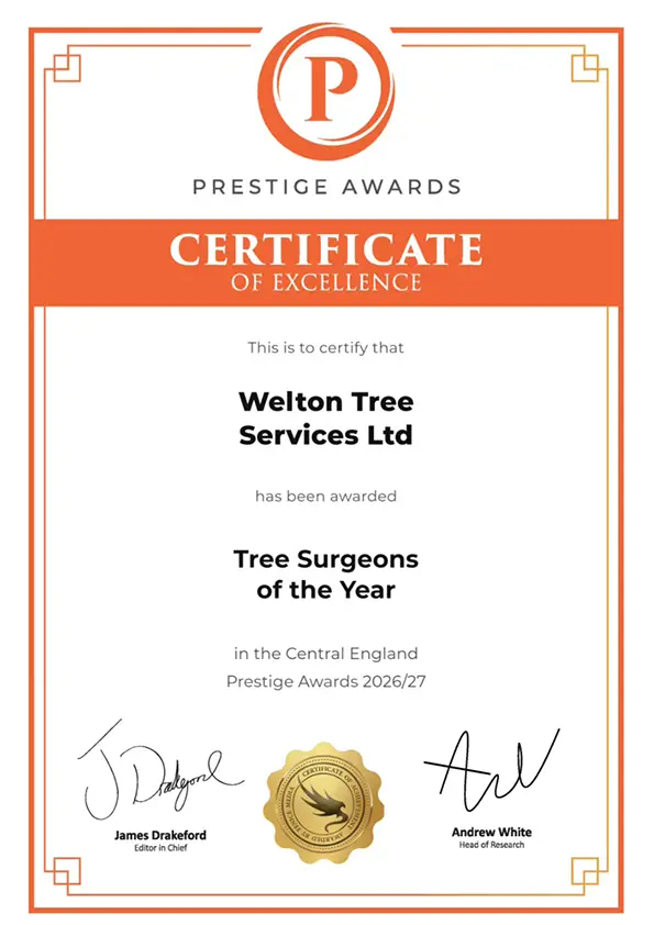 Tree Surgeons of the Year 2006 : 2007