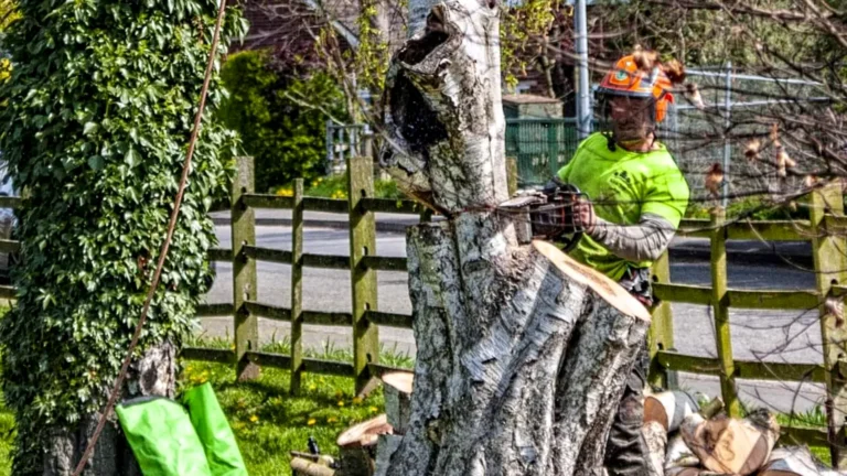 Welton_Tree_Services_4
